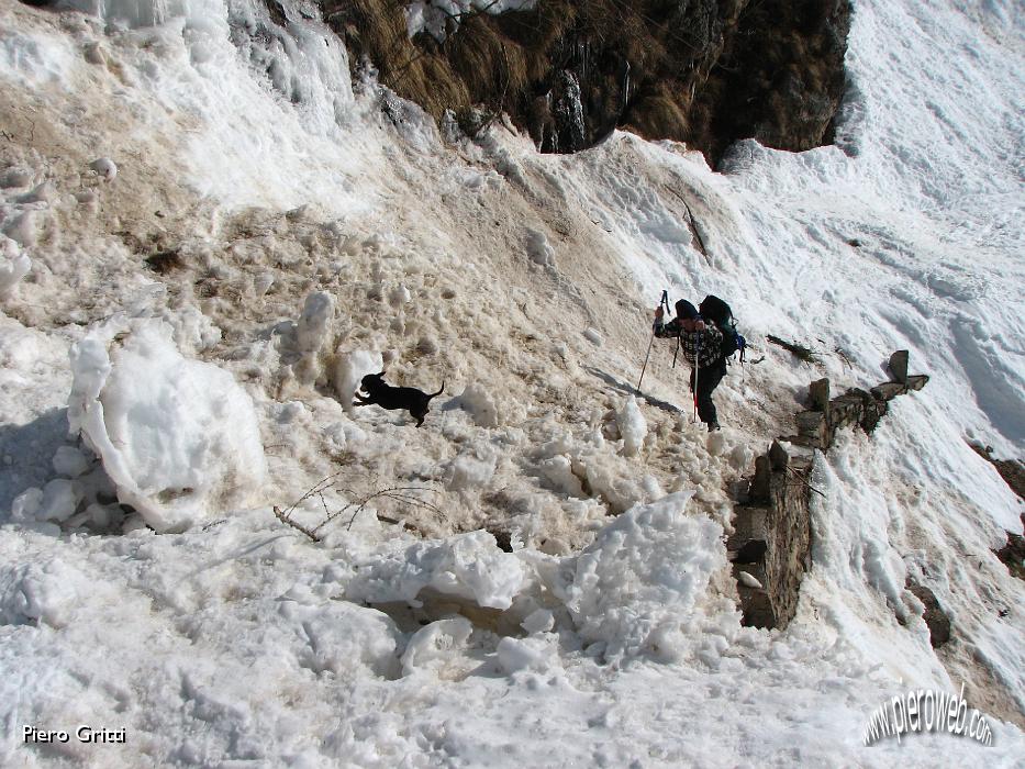 18 Neve  e terriccio nella valanga.jpg